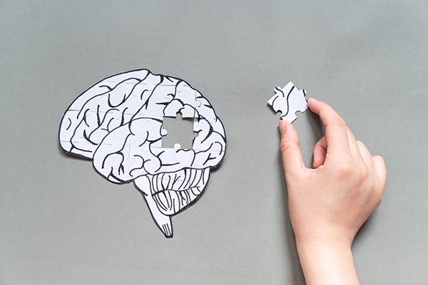 A hand holding a paper brain next to a cutout of a skull with teeth.